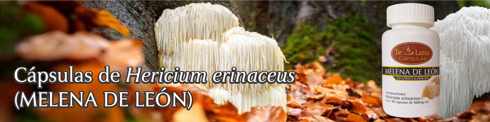Te Latte CaféCápsulas de Hericium erinaceus (MELENA DE LEÓN)
